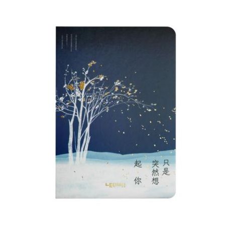 Notes Lenwa Drzewa B6/96 linia, Granatowy